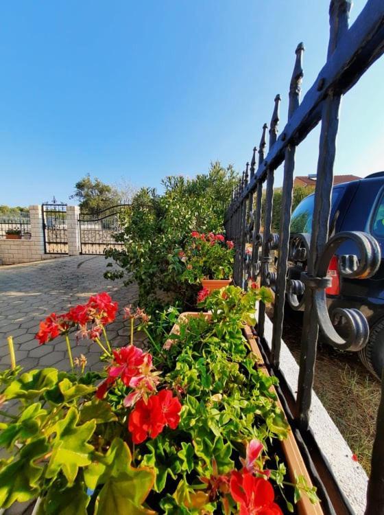 Apartments Dalmatia Гребастика Экстерьер фото